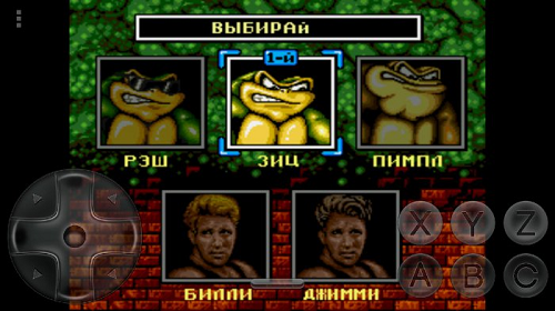 Battletoads and Double Dragon