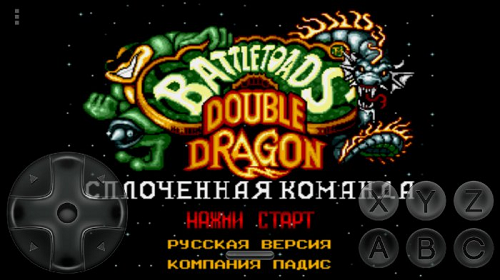 Battletoads and Double Dragon